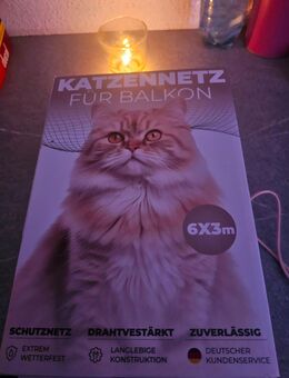 Katzen Netz - Magdeburg