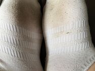 Getragene Socken und Schuhe - Herford (Hansestadt)