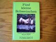 Fünf kleine Schweinchen-Helen Piers-Carlsen Verlag,von 1974,Kinderbuch,lesen lernen in 52441
