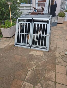 Hunde alubox tierbox transportbox - Aarbergen