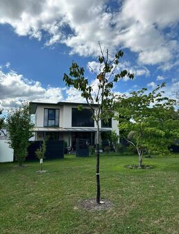 Exklusives Wohnen mit Weitblick - Charmantes Einfamilienhaus - Bad Dürrheim