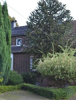 Doppelhaushälfte mit Garage in Dorsten-Feldmark - Dorsten