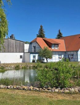 Repräsentatives Wohnhaus mit großem Grundstück und vielseitiger Nutzung - naturnah wohnen in Rustow - Loitz