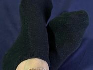 Getragene Sneacker Socken - Frankfurt (Main)