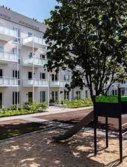 Zweitbezug: Modern, hell und viel Platz für Ihre Familie - Dresden