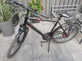 Herrenrad 28er Firma Pegasus in 52224