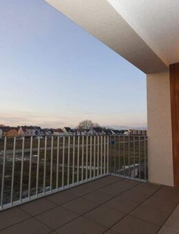 Über den Dächern der Stadt - Paderborn