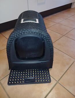 Katzenklo grau - Babenhausen (Hessen)