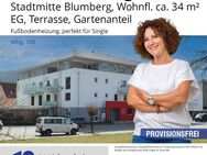 Single-Wohnung mit Terrasse in Blumberg – Klein aber fein! - Blumberg