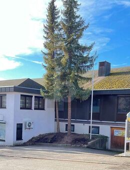 EINZIGARTIGE IMMOBILIE MIT HOHEM RENDITEPOTENZIAL - Calw