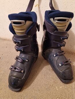 Ski Schuhe - Zittau