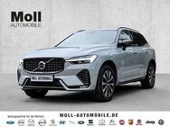 Volvo XC60 Plus Dark 2WD B4 Diesel EU6d digitales Cockpit Memory Sitze Soundsystem HarmanKardon - Aachen