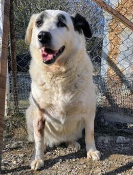 Barbie hatte noch nie ein Zuhause! - Oberhausen