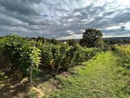 Naturnahes Wohnen inmitten der Radebeuler Weinberge - Radebeul