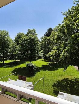 +++Single-Wohnung mit grüner Aussicht +++ - Hohenstein-Ernstthal
