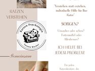 Dipl Katzenverhaltensberaterin - Enger (Widukindstadt)
