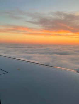 41 M4F Neu Isenburg - Neu Isenburg