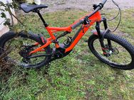 Specialized Levo - Heroldsberg