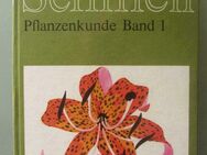 Schmeil Pflanzenkunde Band 2 (1973) - Münster