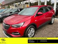 Opel Grandland INNOVATION 1.2 Turbo EU6d Innovation Navi LED Kurvenlicht El. Heckklappe Apple CarPlay - Niederahr