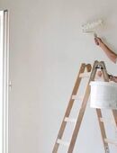 Biete Malerarbeit zu einem fairen Preis an ! in 10115