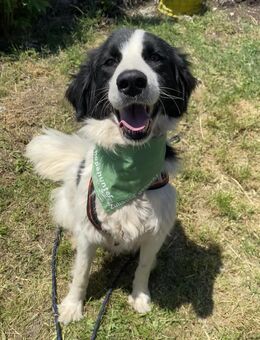 Wunderschöne Jemma - Essen