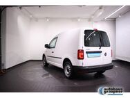 VW Caddy 1.0 TSI Kasten - Brandis