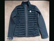 Reitjacke Kingsland gr.m, - Zarrentin (Schaalsee)