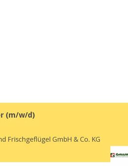 Elektroniker (m/w/d) - Wietze