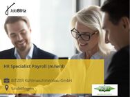 HR Specialist Payroll (m/w/d) - Sindelfingen