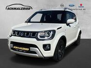 Suzuki Ignis, Comfort Hybrid Musikstreaming Spurhalteass, Jahr 2024 - Bremerhaven