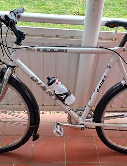 26+“ Giant Cadex 890i Profi Fahrrad mit Carbon Rahmen ... Sonderanfertigung - Weimar