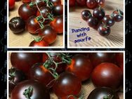 Tomaten, Gurken, Versch. Bohnen, Markerbsen - Hünfelden