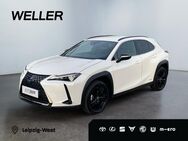 Lexus UX 250h, Style Edition Bi, Jahr 2021 - Leipzig Alt-West