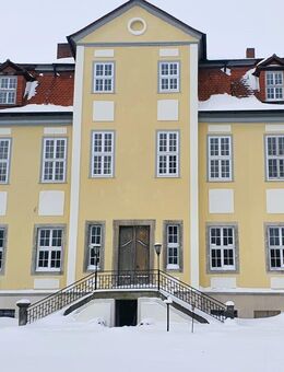Herrschaftlich wohnen in idyllischer Umgebung - Neunheilingen