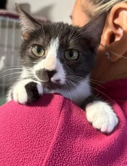 Bibi sucht ihre Herzensmenschen - München