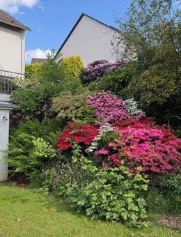 Einfamilienhaus in schöner Wohnlage in Essen-Burgaltendorf - Essen