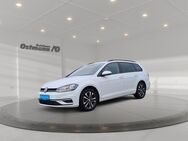 VW Golf Variant, 1.0 TSI Golf VII United App-Con, Jahr 2020 - Hofgeismar