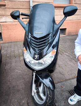 Weinachtsangebot heute - Frankfurt (Main)