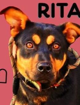 RITA soll endlich glücklich werden - Gefrees