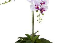 Kunstpflanze Orchidee, Creativ green, Höhe 65 cm