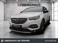 Opel Grandland, Design Line ---°, Jahr 2021 - Dortmund