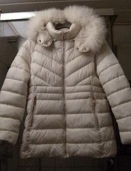 Damen Winterjacke, Gr.42, nagelneu! - Brühl (Nordrhein-Westfalen)