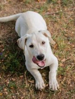 FIPS - zusammen kann's nur gut werden - Overath