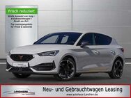 Cupra Leon 1.4 eTSI //Navi/Kamera/Winterpaket/Alu18 - Thannhausen