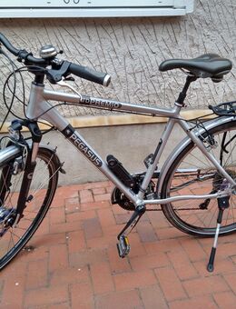 Trekking Bike Pegasus Premio LTD 28" - Hohe Börde
