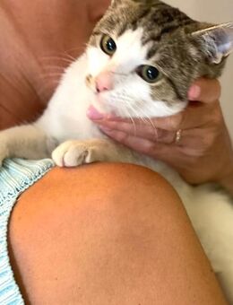 in Baden Würrtemberg wartet Julian - Augsburg