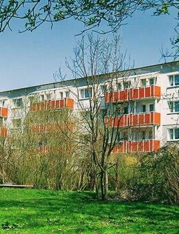Mit Blick auf den Igelpfuhl - Prenzlau