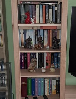 Bücherregal Kernbuche - Berlin
