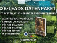 Premium B2B Leads - Exklusive & systematische Interessenfilterung - 500 Leads Datenpaket (7.99€) - München